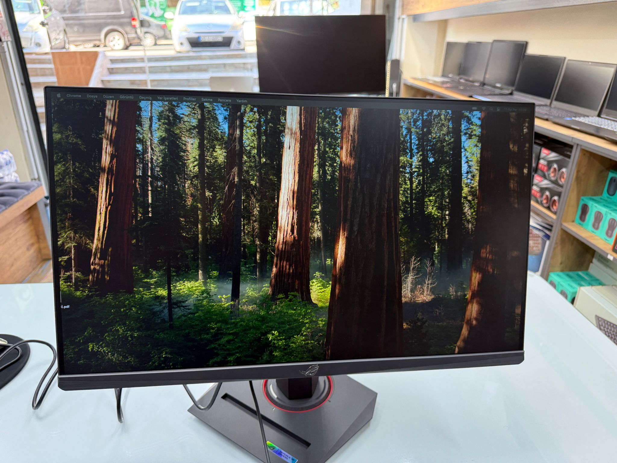 Mersin monitör alan yer